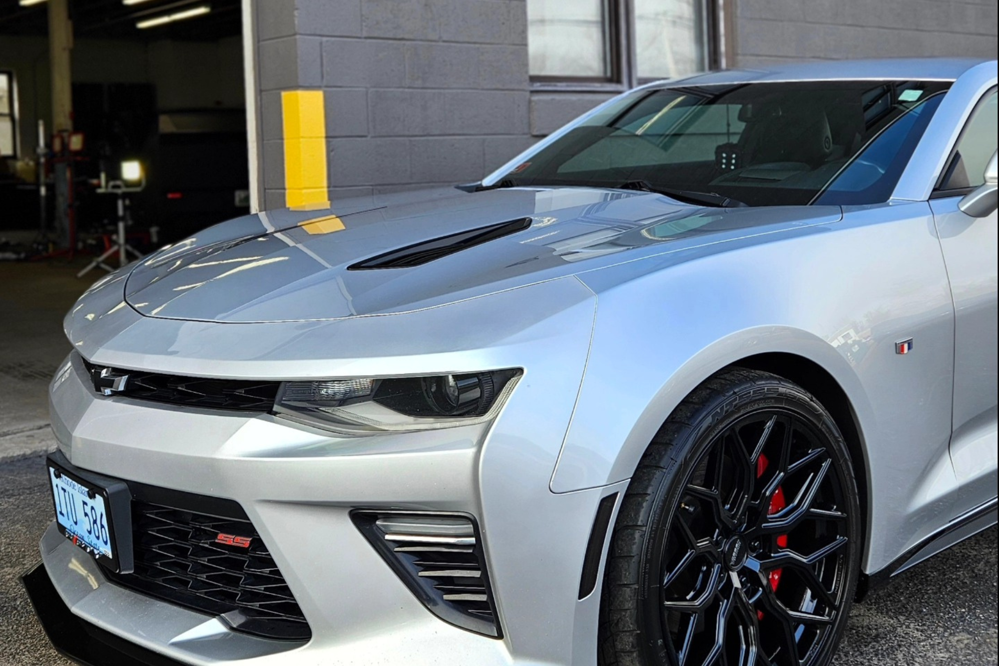 paint protection film